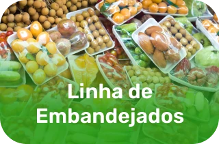 Imagens produtos da linha de embandejados Frutas Lessa