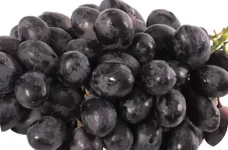 Imagem da Uva Black da Linha Select de Uvas da Frutas Lessa